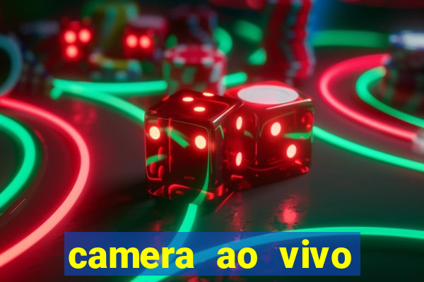 camera ao vivo terminal vila nova cachoeirinha