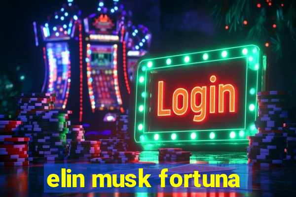 elin musk fortuna