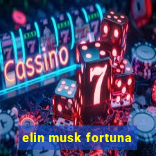 elin musk fortuna