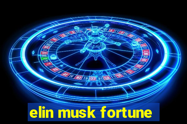 elin musk fortune