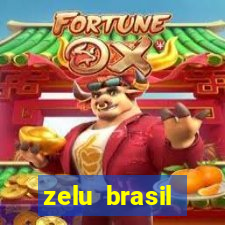 zelu brasil facilitadora de pagamentos ltda jogos