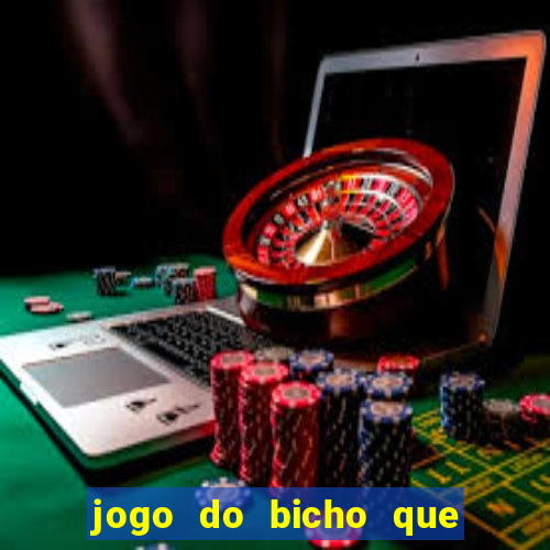 jogo do bicho que da dinheiro