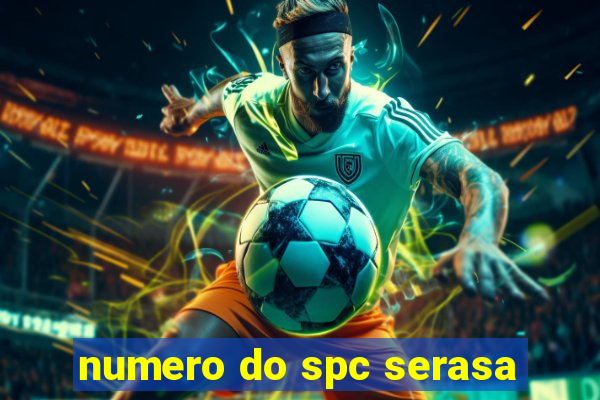 numero do spc serasa