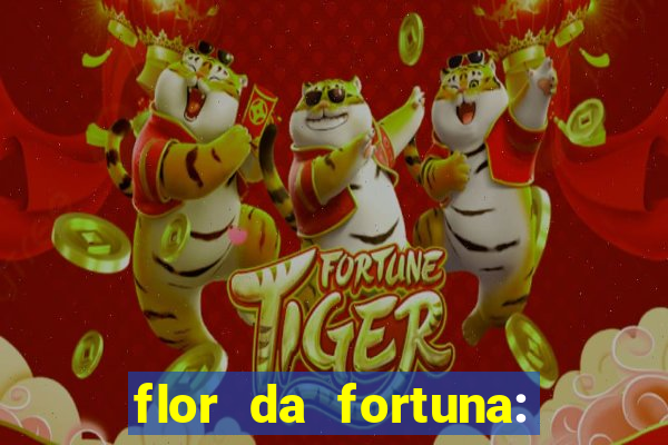 flor da fortuna: como cuidar