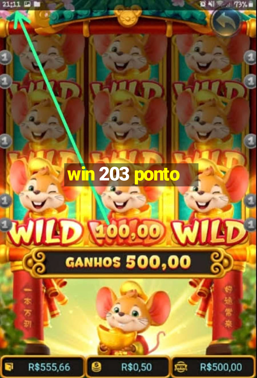 win 203 ponto