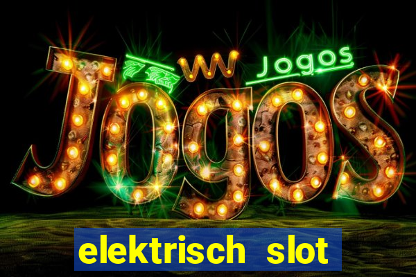 elektrisch slot houten poort