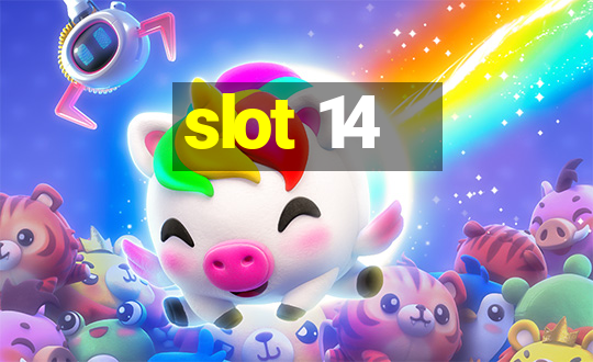 slot 14