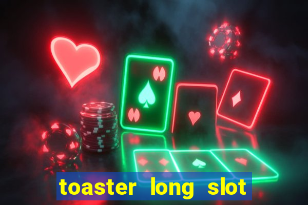 toaster long slot 2 slice