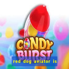 red dog aviator is real or fake