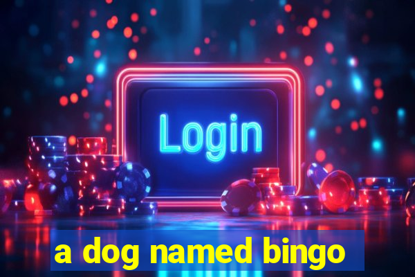 a dog named bingo