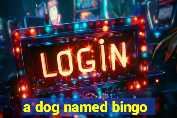 a dog named bingo