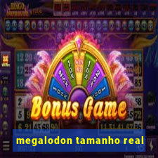 megalodon tamanho real