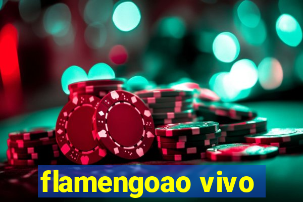 flamengoao vivo