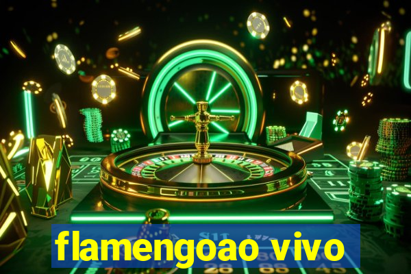 flamengoao vivo