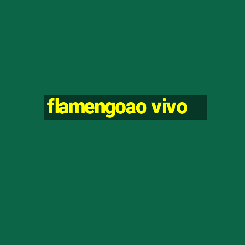 flamengoao vivo