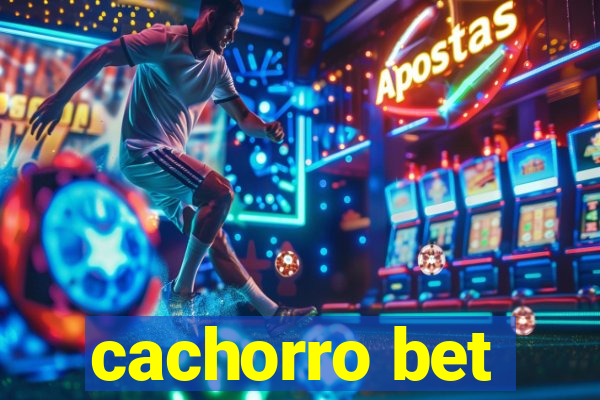 cachorro bet