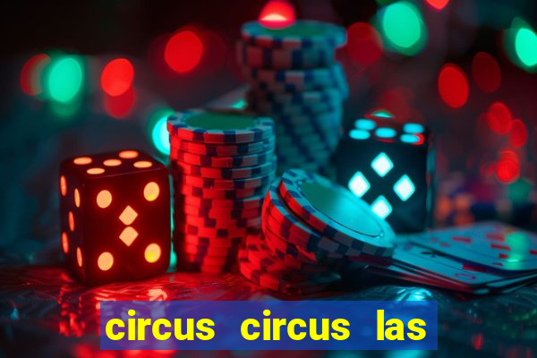 circus circus las vegas hotel & casino