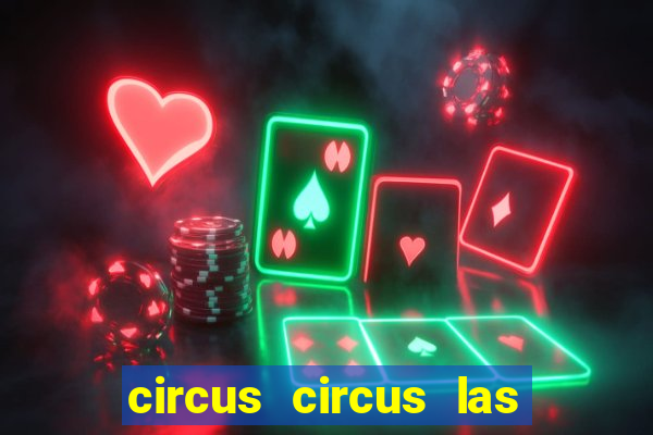 circus circus las vegas hotel & casino