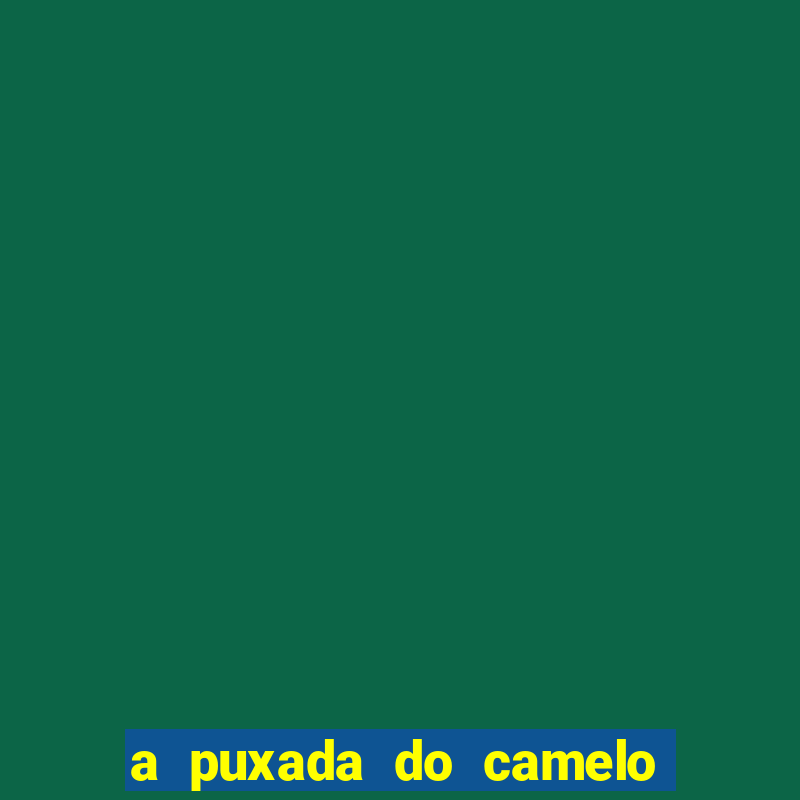 a puxada do camelo no jogo do bicho