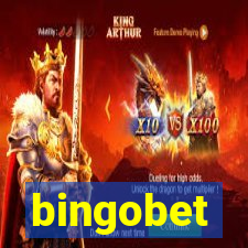 bingobet