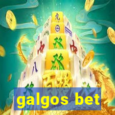 galgos bet