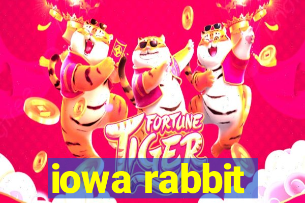 iowa rabbit