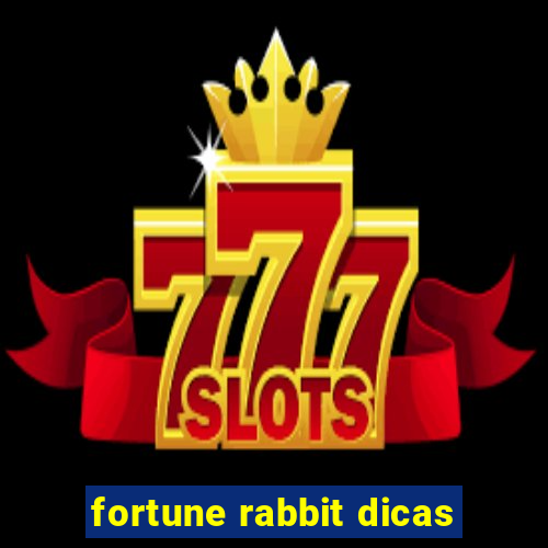 fortune rabbit dicas