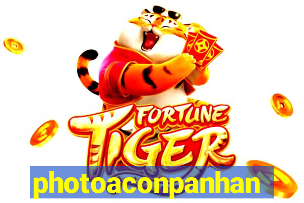 photoaconpanhante