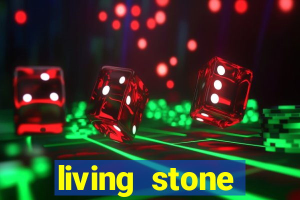 living stone network tv