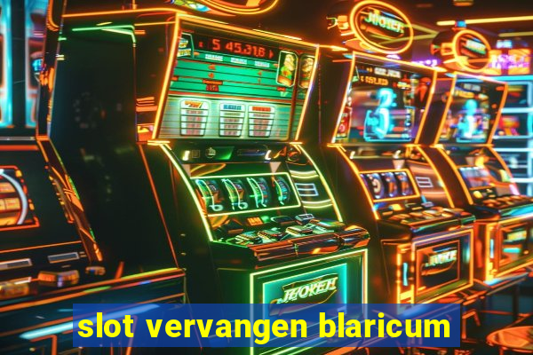 slot vervangen blaricum