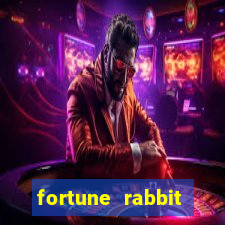 fortune rabbit plataforma nova