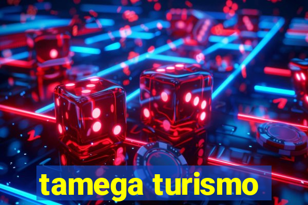 tamega turismo