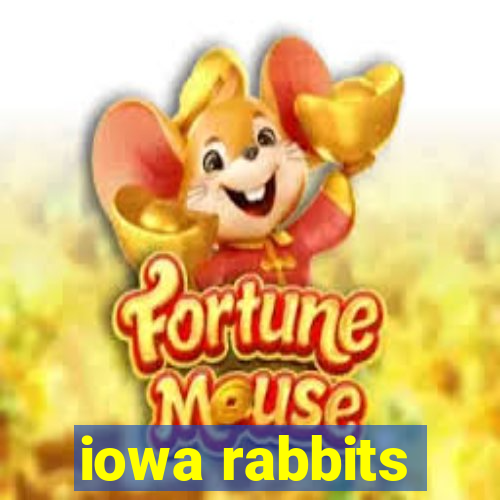 iowa rabbits