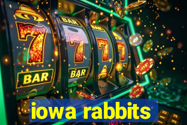 iowa rabbits