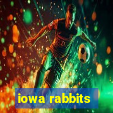 iowa rabbits