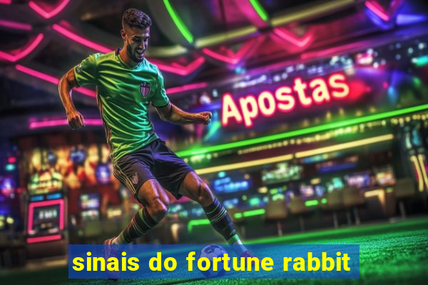 sinais do fortune rabbit