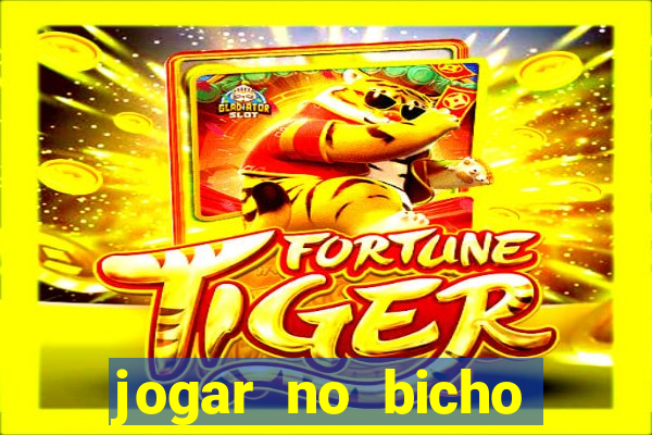 jogar no bicho online bahia