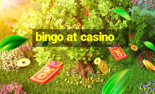 bingo at casino