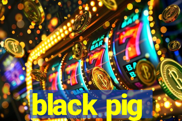 black pig