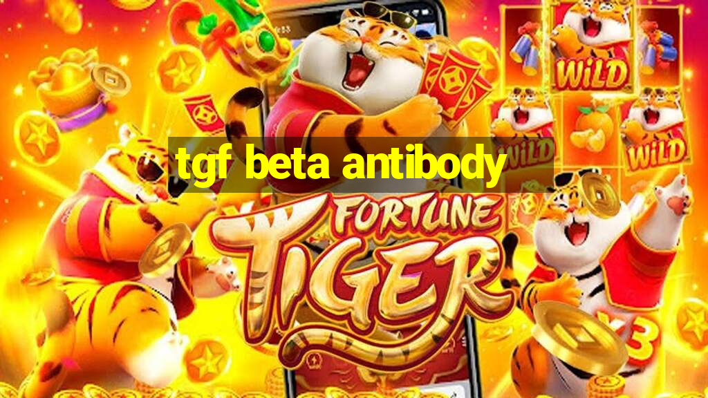 tgf beta antibody