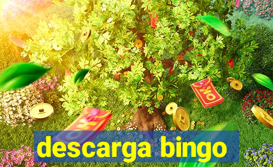 descarga bingo