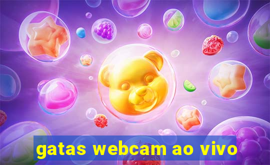 gatas webcam ao vivo