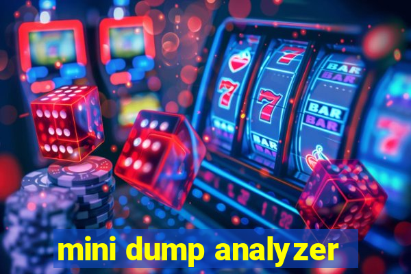 mini dump analyzer