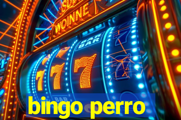 bingo perro