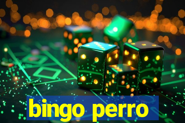 bingo perro