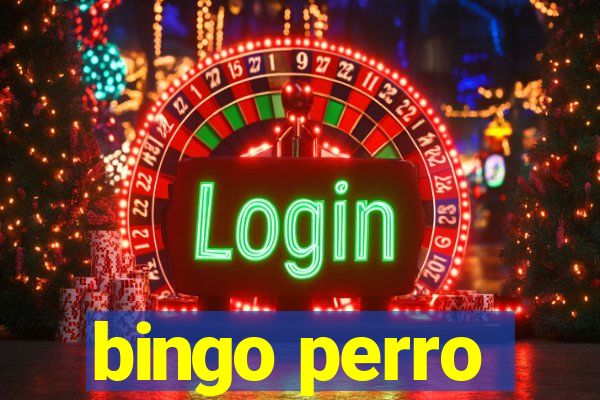 bingo perro