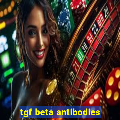 tgf beta antibodies