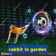 rabbit in garden