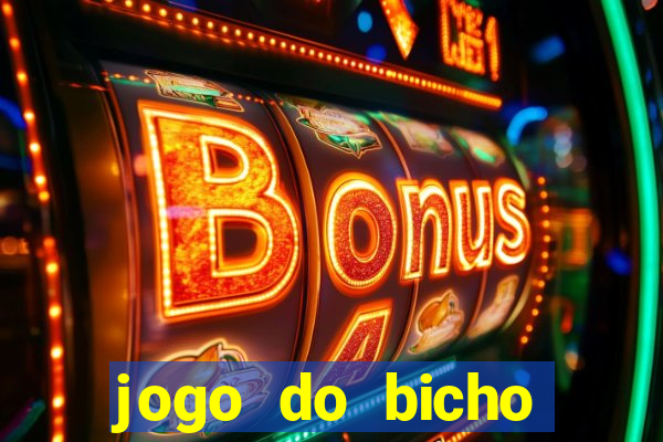 jogo do bicho crash bingo