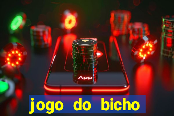 jogo do bicho crash bingo